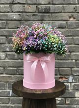 Цветочная композиция из Гипсофила и Розы в шляпной коробке #REPLACE_PRED# Питерке