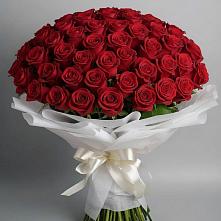 Букет 101 Красная роза Блэк Мэджик в Питерке