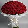 Букет 101 Красная роза Блэк Мэджик в Питерке