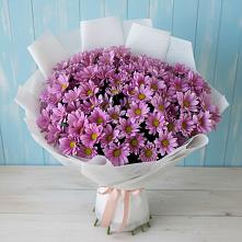 Букет цветов из:  Хризантемы в Питерке