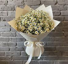 Букет цветов из:  Ромашки #REPLACE_PRED# Питерке