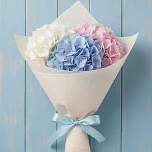 Букет цветов из:  Гортензия в Питерке