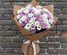 Букет цветов из:  Хризантемы #REPLACE_PRED# Питерке