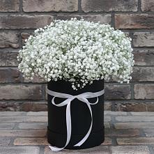 Цветочная композиция из Гипсофила в шляпной коробке в Питерке