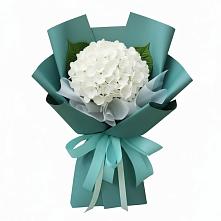 Букет цветов из:  Гортензия в Питерке
